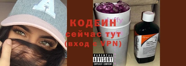 соль ск Каменка