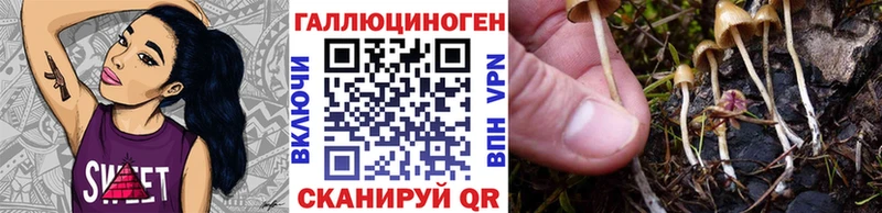 Галлюциногенные грибы прущие грибы  Купить  Ливны 