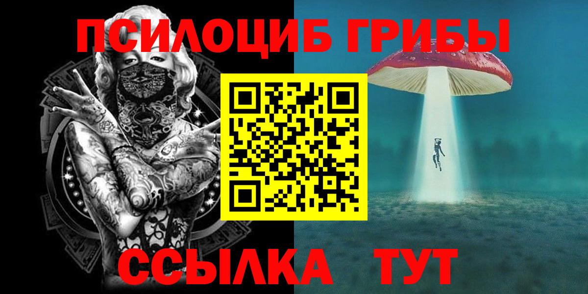 Ливны  Псилоцибиновые грибы Psilocybe  Вход с VPN 